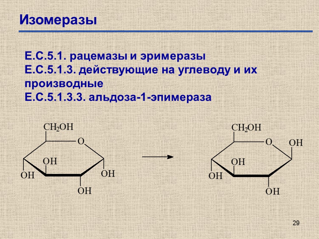 29 Изомеразы Е.С.5.1. рацемазы и эримеразы Е.С.5.1.3. действующие на углеводу и их производные Е.С.5.1.3.3.